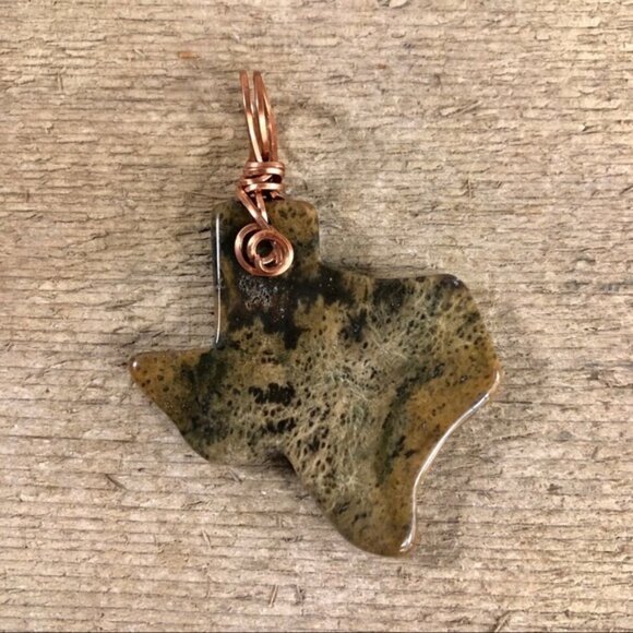 Petrified Wood Texas Necklace Pendant - Picture 1 of 4